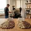 Arabica- und Robusta-Kaffeebohnen im Vergleich – Unterschiede bei Form, Crema und Herkunft.