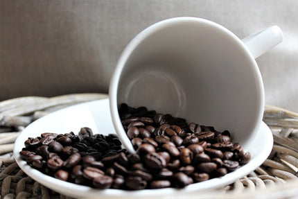 Caffè Mauro CENTOPERCENTO – 50 Kapseln - Kaffeegeniesser 