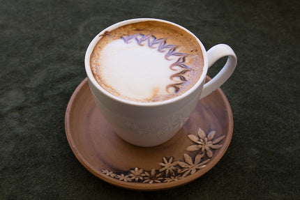 Caffè Mauro DECAF – 50 Kapseln - Kaffeegeniesser 