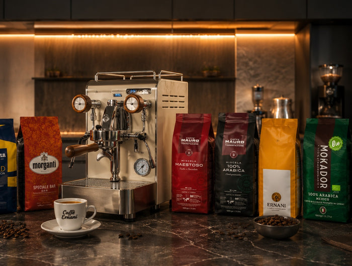 Premium-Kaffeebohnen von Mauro, Mokador, Ernani, Morganti und Lavazza in moderner Küche.